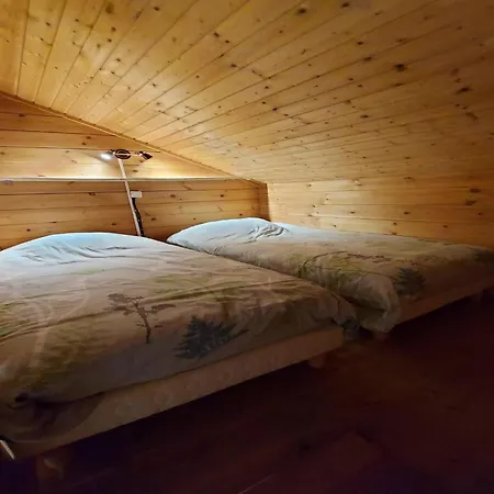 In With Sauna *