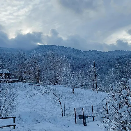 Chalet With Garden In Lotharingen